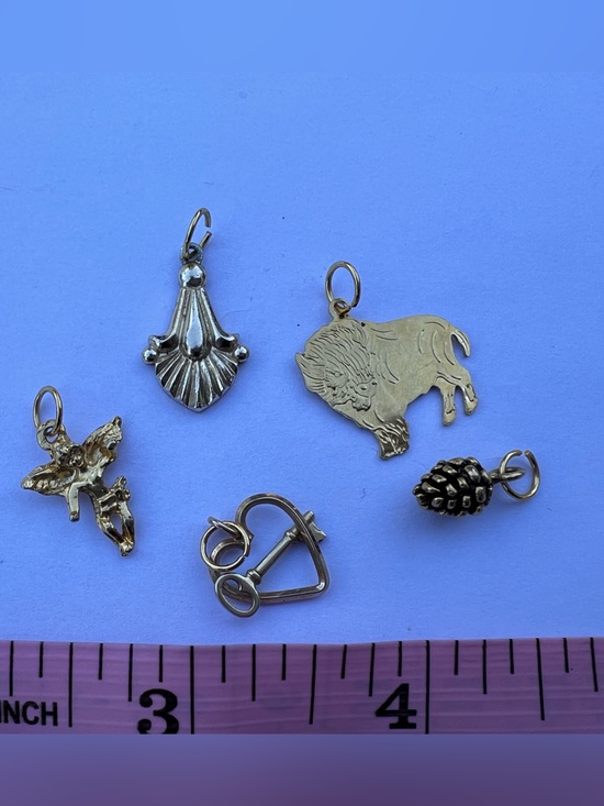 Jewelry - Gold Tone Small Charm Mix - Heart, Pinecone, Buffalo & More